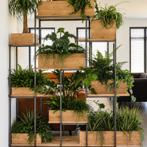 Industriële Stalen kast met houten kastplanken
